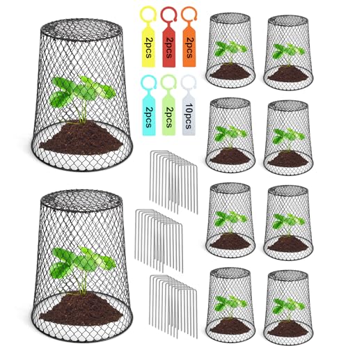 10 Pcs 6.8"×7.4" (Multiple Sizes/Quantities Available) Seedling Plant Protectors from Animals, Chicken Wire Plant Cage Garden Cloche to Protect Plants Vegetables from Rabbits Squirrels Chicken - size: 6.8"×7.4"