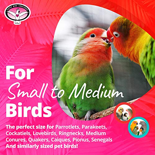 Super Bird Creations SB1093 Jingleberries Bird Toy - Colorful Plastic Toy Balls with Bells for Small/Medium Birds - Parrotlets Parakeets Cockatiels - Encourage Beak Health & Dexterity - 6"x 2.5"x 2.5"