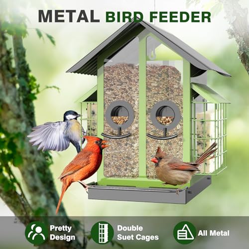 FlowaFoli Bird Feeders for Outdoors, Metal Bird Feeder with Double Suet Cage Weatherproof Metal Roof, 2 in 1 Mixed Seeds Suet Feeder, 4Lbs Large Capacity, Great for Finch、Cardinal、Chickadee（Green） - color: Green