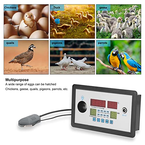 Fdit Intelligent Incubator Thermostat Digital Automatic Incubator Controller Egg Hatcher Temperature Incubator Controller for Various Eggs (12V)