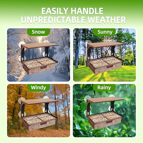 Window Bird Feeder Metal Bird Feeder for Outdoors Birdwatching | with 4 Strong Suction Cups and Adhesive Hook, Sturdy Rust-proof Gifts for Cats & Nature Lovers