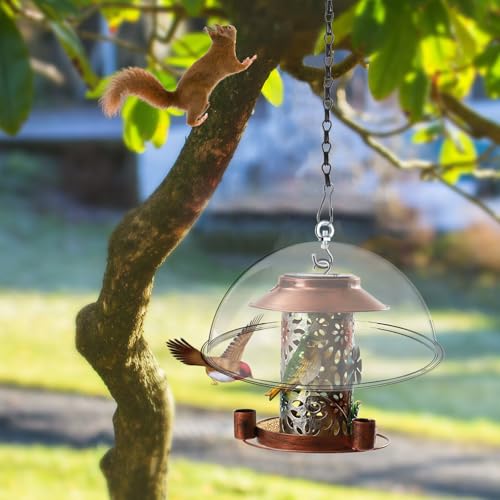 2 Set 11.8'' Bird Feeder Rain Guard, Clear Acrylic Squirrel Baffle Dome | Hanging Round Hummingbird Feeder Protective Cover Weather & Predator Shield for Outdoor Garden Yard Use