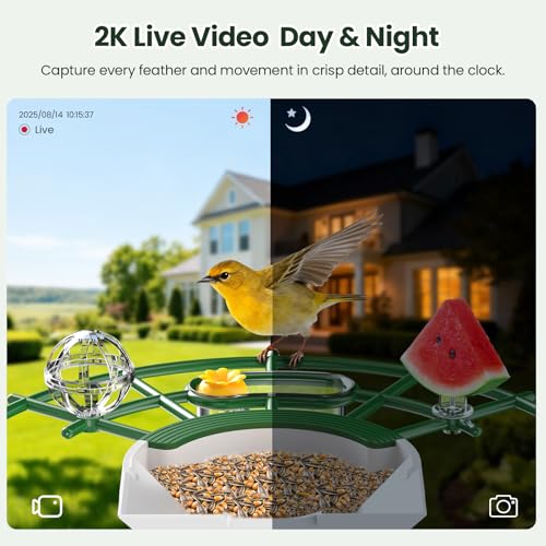 TECKNET Smart Bird Feeder with Camera, 2K UHD Video, AI Bird Species Identification, Instant Arrival Alerts, Solar Powered, Waterproof Birdhouse Camera, Gift for BirdLovers, Family, Green