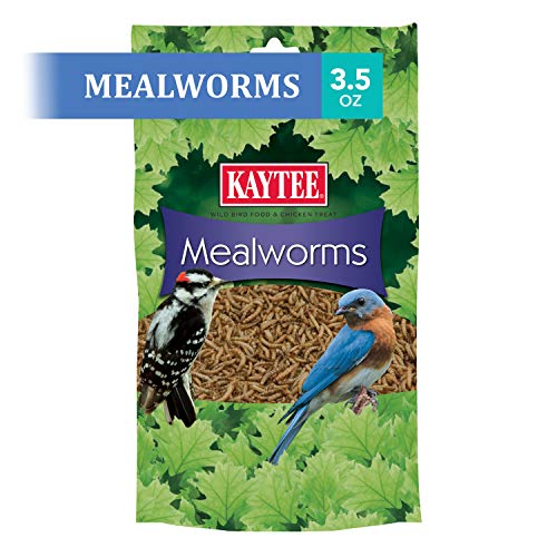 Kaytee Wild Bird Food Mealworms For Bluebirds, Wrens, Robins, Chickadees, Woodpeckers, Cardinals & Chickens, 3.5 Ounce - size: 3.5 Ounce (Pack of 1)
