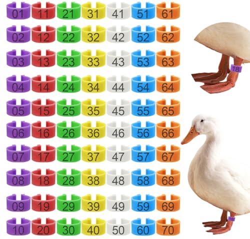 70 Pcs 20mm Duck Leg Rings Colorful 01-70 Numbered Duck Identification Leg Bands, Chicken Foot Tags Clip on Poultry Ankle Rings for Chicken Guinea Goose Gamefowl Turkey - size: 20mm - 7 Colors
