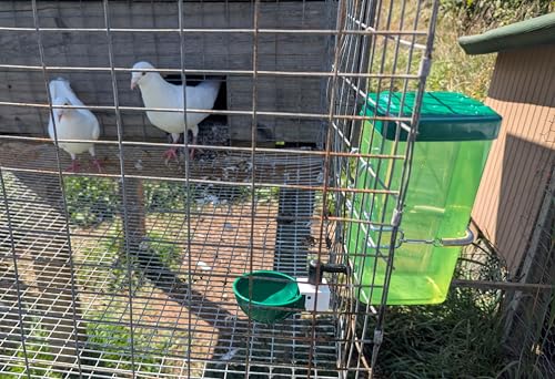 Hen's Choice™ 1L (32 oz) Drinker W/Cup, Nipple, & Wire Bracket for Chicks & Small Animals, Chicken Waterer, Green - color: Green/White