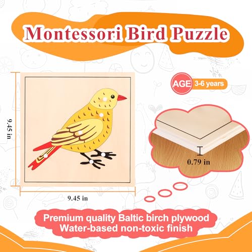 Montessori Bird Anatomy Puzzle, Wooden Body Parts Learning Toy, Preschool Science Puzzle for Kids Ages 3-6, Classroom & Homeschool, Baltic Birch - color: Bird