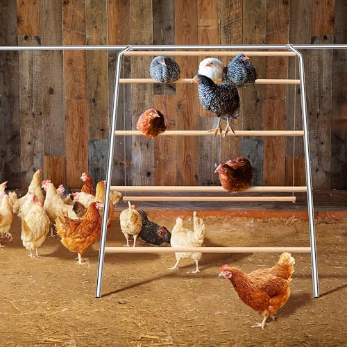 Chicken Roosting Bars with Swing for Coop, Large 4-Tier Wood Chicken Perch for Backyard Poultry, Non-Slip Design, Durable Galvanized Metal Frame, Essential Chicken Coop Accessories (55" L x 40" W) - size: 74" L x 40" W