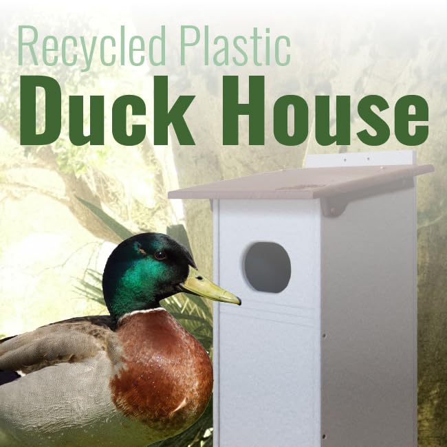 Amish Made Recycled Plastic Wood Duck House, Brown and Gray