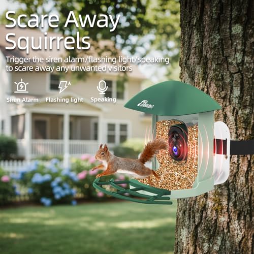 Smart Bird Feeder with Camera Solar Powered, 2.5K UHD Birdwatching Cam | Free AI Bird Identification, Instant Notifications & Auto Video Capture, 2.4G Wireless Outdoor Cam, for Mom Dad Birdlovers - color: Geen