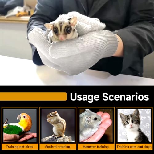QBLEEV 1 Pair Bird Handling Anti-Bite Gloves, Small Animal Bite Proof Gloves for Training - color: White
