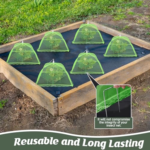 4 Sets Strawberry Plant Support with Mesh Plant Cover,Strawberry Growing Racks Sets with Iron Plant Nails and Storage Bag for Garden Strawberry Vegetables(Green Net - Square) - color: Green Net - Square