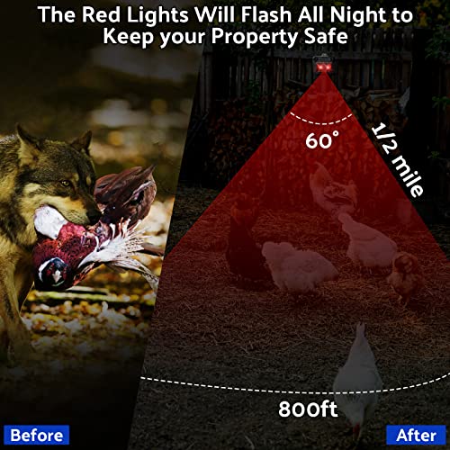 Solar Control Light Nocturnal Animal Repeller Outdoor Deterrent Devices Light Sensor Animal Repellent for Skunk Deer Coyote Fox Raccoon Cat Garden Yard Farm Chicken Coop (6, Black)