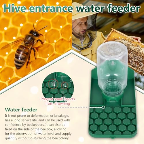Bee Water Dispenser, Wall or Tree Mounted, for Bees, Butterflies, Hummingbirds and Insects, Green, 2 Pack