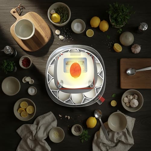 Teenyyou 3 Pcs 10 Egg Capacity Tray Jumbo Goose Turkey Peacock Egg Heavy Breeds Tray Compatible with JGT360 Nurture Right 360 Incubator Turner, White