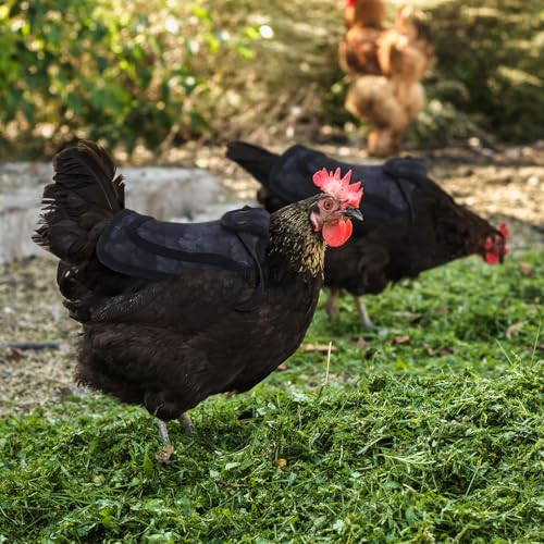 On-Airstore 3Pcs Chicken Saddle for Hens Chicken Aprons Clothes with Adjustable Strap Outdoor Printed Birds Hen Saddle for Poultry Back Feather Protector Suitable for Small Medium Large Hens