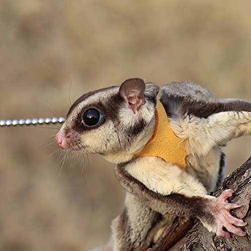3 Pack Sugar Glider Harness and Leash Set - Adjustable Traction Rope Strap Anti-Biting Chain Rope, Small Animal Training Walking Vest Leash for Sugar Glider Squirrel Hamster Rat Birds Reptile (Yellow) - color: Yellow