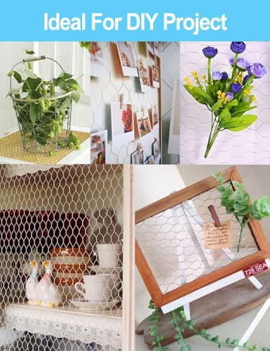 TOYPOPOR Chicken Wire 16'' x 190''/16ft(40cm x 5m), Outdoor Anti-Rust Hexagonal Galvanized Chicken Wire Mesh Fencing to Protect Gardening Plants Vegetables Flowers Fruits from Dogs Rabbits Squirrels - size: 16 in x 16 ft (20 Ties)