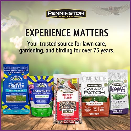 Pennington Songbird Nut & Fruit Blend Wild Bird Seed for Outside Feeders | Songbird bird seed for outside feeders, advanced nutrition formula with real fruit, nut & seeds, birdseed for wild birds