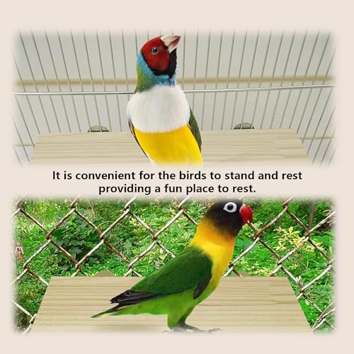 2Pcs Solid Wood Parrot Stand and Small Animal Climbing Platform