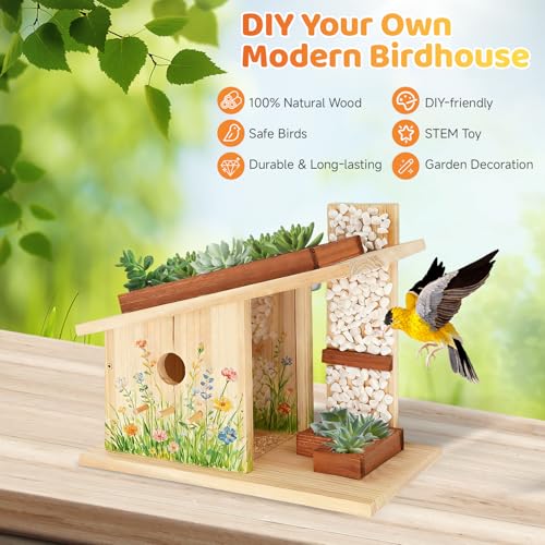 Modern Birdhouse Woodworking Kit, Natural Cedar Wooden birdhouses for Outdoors with Paint Set, Creative DIY Birdhouse Gift, Build Your Own Bird House Kit