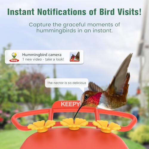 2.5K Hummingbird Feeder with Camera Solar Powered, Wireless Smart Bird Feeders for Outdoors, AI Identify Bird Species, Instant Notification, Ant Moat & Bee-Proof, Gift for Birds Lovers (Red)
