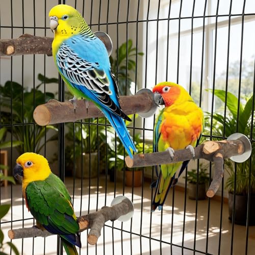 6 Pack Natural Wood Bird Perches for Cage, Wooden Parrot Perch | Wood Bird Stand Toy, Hardwood Branches, Climbing & Chew Toy for Bird Cage Accessories, Ideal for Parakeets Budgies Cockatiels - size: Medium Size-6 Pack