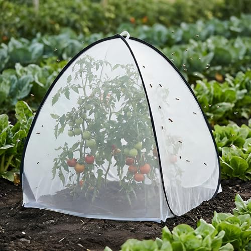 2 Pcs Pop Up Insect Barrier Plant Cover Tent, 22 x 22 x 22 Inch Foldable Garden Plant Protectors Mesh Enclosure, Garden Net Cage Bird Insect Guard Cover for Protecting Plants Fruits Vegetables - color: 22 X 22 X 22 Inch