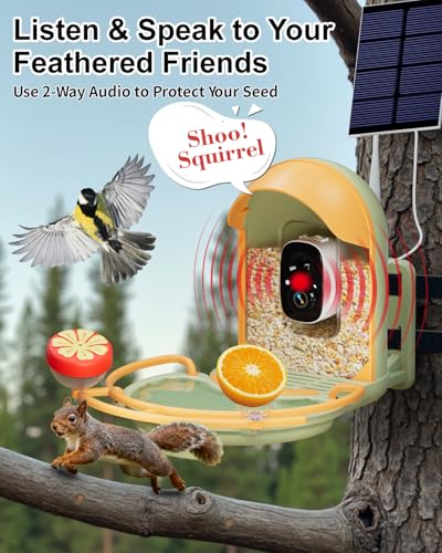 Bird Feeder with Camera, Smart Birdfeeder with Cam Solar Powered, 2K HD Video, AI Identification, Instant Arrival Alerts, IP66 Bird Bath & Feeder,Gift for BirdLover (with BirdBath, Green) - color: Green, style: With BirdBath