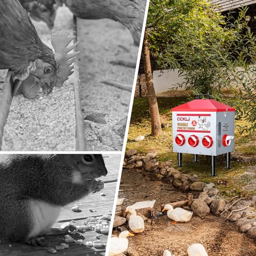 8-Port Poultry Feeder for Backyard Flocks – Holds 55 LBS, Stops Pecking Order Bullying, Adjustable Height, Galvanized Steel & Stainless Steel