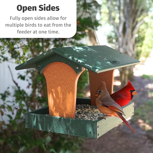 DutchCrafters Plastic Poly Covered Roof Hanging Fly Through Bird Feeder Open Side Platform Seed Tray for Outside Outdoor Garden - Amish American Made in USA (Turf Green & Cedar) - color: Turf Green & Cedar