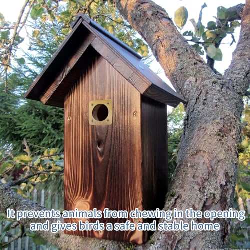 10Pcs Bird House Guard with Copper Portal 1 1/2 Inch Opening, Rustproof Metal Bluebird House Predator Guard with Screws, Woodpecker & Squirrel Proof Birdhouse Hole Protector for Outdoor Nesting Box