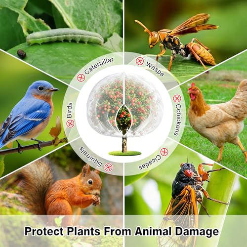 4PCS 10Ft × 10Ft Fruit Tree Netting with Zipper and Drawstring, 60 Mesh Thickened Garden Bird Netting for Blueberry Bushes, Fruits, Vegetables, Insect Bird Barrier Mesh Protective Cover - size: 10Ft × 10Ft