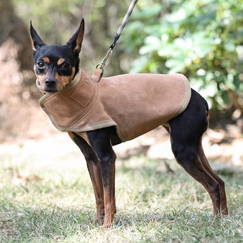 Dog Protection Vest - The Surface Layer of Genuine Leather (XS, Brown) | Dog Protection Ves Tough and Wear-Resistant, Protection Against Attacks by Coyotes, Hawks, Raptors, and Birds of Prey - size: XS