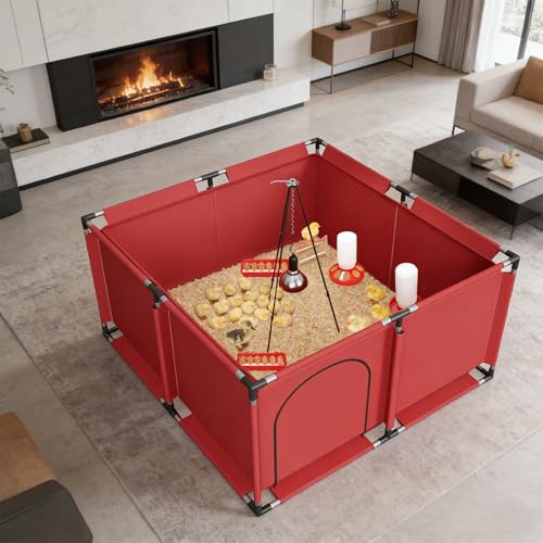 Brooder Box for Chicks, All-in-One Chick Starter Kit, Stainless Steel Frame Baby Chicken Brooder Playpen with 250W Heat Lamp, Perch, Feeder & Waterer Set, Up to 30 Chicks, Square Style