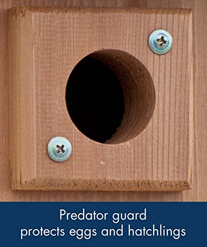 Woodlink BB3 Traditional Bluebird House