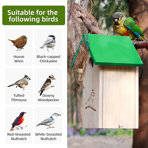 Wooden Bird Houses for Outside Hanging, Decorative Outdoor Clearence Birdhouse, Bird House, Cedar Bird House Outdoor, Bluebird Finch Swallow Wren Chickadee, Birdhouses for Outdoors, Bird Box
