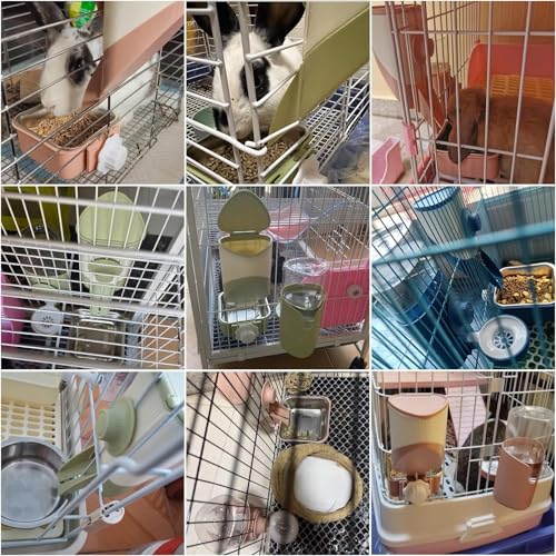 Pet Hanging Bowl for Crates, 2 in 1 Small Dog Bowl Puppy Removable Stainless Rabbit Cat Feeder Food Water Bowls for Puppy Cat Bird Rabbit Hamster Guinea Pig Ferret Small Animals - color: Green