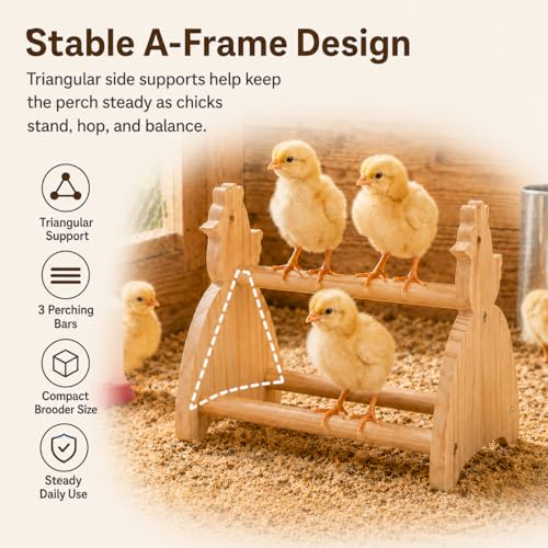 2 Pack Chick Perch Stand, Pine Wooden Roosting Perch for Brooder Coop, Chick-Shaped Chicken Jungle Gym Toy with 3 Perching Bars, Bird Perch for Baby Chicks & Small Birds