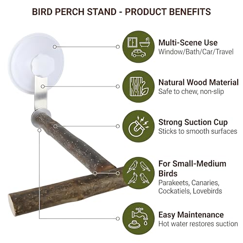 Natural Wood T-Shaped Bird Perch with Suction Cup for Window | Portable T-shaped parakeet window stand & bird shower perch for cockatiel, lovebird or budgie. Fits glass, mirrors & tiles