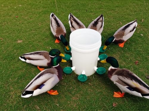 Farmight Automatic Poultry Waterer Kit – Leak-Free Large Self-Filling Cups with Drill Bit for Chickens, Ducks, Quail, Geese & Turkeys - 5 Pack