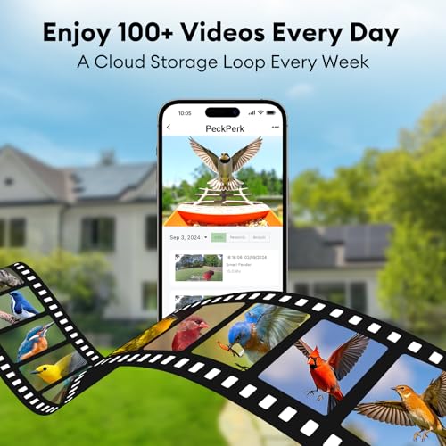 Bird Feeder with Camera Solar Powered, Smart Birds Feeder for Outside, AI Bird Identification Auto Capture Videos Pictures, 2K Live Feed Cam for Backyard, Ideal Gift for Birds Lover - color: light brown