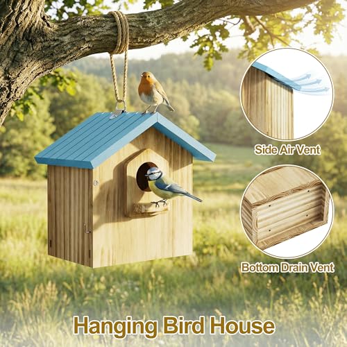 Auslar Bird House for Outside, Wooden Hanging Bird Nesting Box with Perch | Outdoor Birdhouse for Bluebird, Cardinal, Finch, Wren & Swallow, Hook, Predator Guard, Clean-out Door, Garden Bird Watching