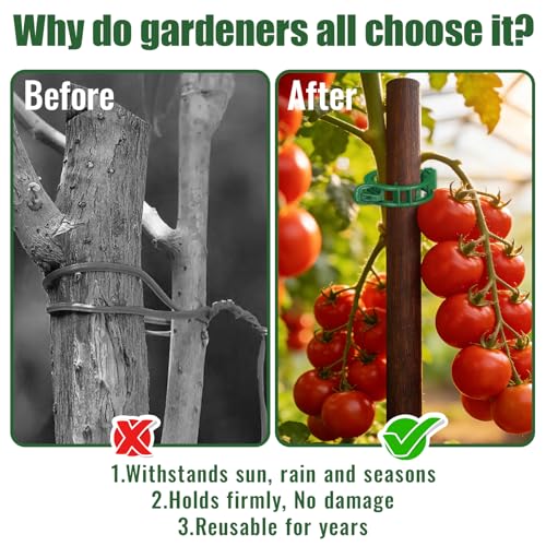 300Pcs Thickened Tomato Clips, Plant Support Clips Plastic Trellis Clips | Plant Clips for Grape Vine, Tomato Vine, Vegetable Plants, to Grow Upright Makes Plants Healthier, Green - color: Green