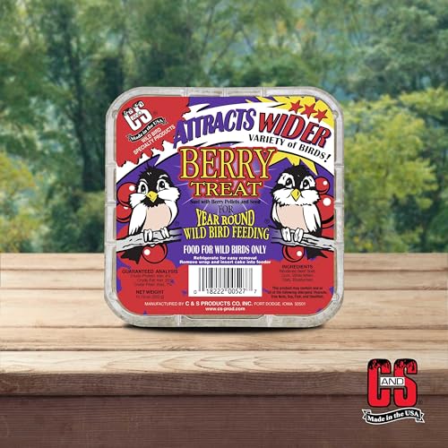 C&S Berry Suet Treat, Suet Cakes for Wild Birds, Pack of 8 | Suet cakes for woodpeckers, made with real berries, use in a suet feeder year-round - style: Berry, 8 Pack