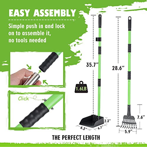MXF Pooper Scooper, Dog Pooper Scooper Long Handle Stainless Metal Tray and Rake Set for Medium Small Dogs Heavy Duty - Use on Grass, Dirt or Gravel - Pet Supplies (Green) | Durable Stainless Steel Dog Waste Pickup Set. Ideal Poop Scooper for Medium & Sma