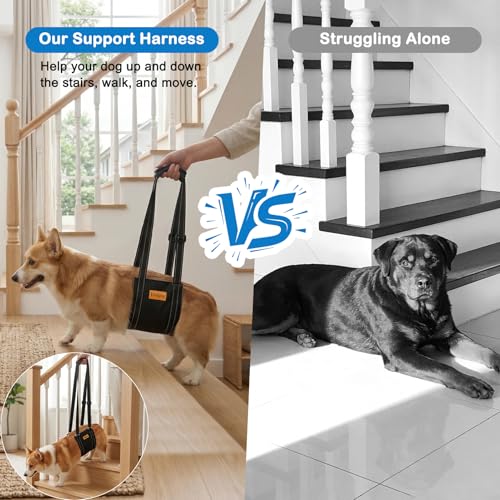 Vivifying Dog Lift Harness for Medium Dogs, Soft Bird's-Eye Cloth Hind Leg Support Sling, Adjustable Dog Lifting Harness for Weak Rear Legs, ACL Surgery Mobility Assist, M, White - size: M