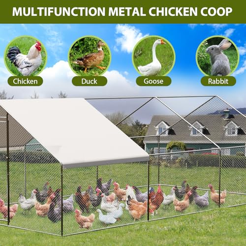 GarveeTech Large Walk-in Chicken Coop with Run, 9.8' x 19.7' Outdoor Chicken Runs for Yard with Cover, Metal Poultry Cage for Chickens, Ducks, Birds