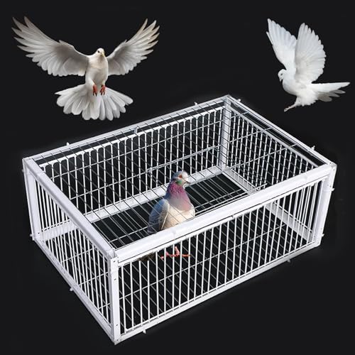 Pigeon Trap Cage with Escape-Proof Design Chicken Trap Bird Cage with One Way Entrance for Sparrows Quails Bird Chick and Duckling (23.6”L x 15.75” W x 10.24 ”H) - size: 23.6”L x 15.75” W x 10.24 ”H