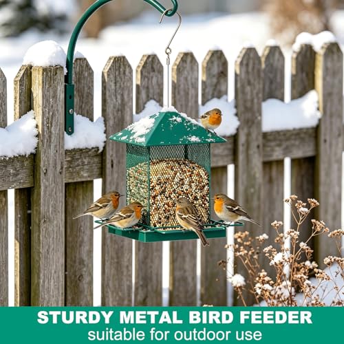 HOSUN 100% Metal Hanging Wild Bird Feeder, Bird Watching Gift | All-Around Feeding with Metal Perches,Mesh Ventilated,Outdoor Feeder with Steel Rope & Hook for Garden Yard Patio